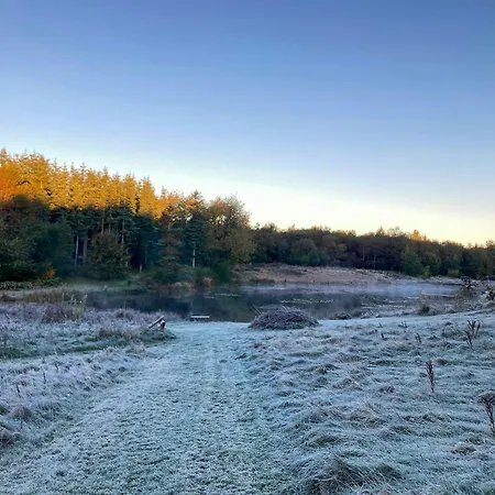 Architect-designed Retreat In Private Woods Dom wakacyjny