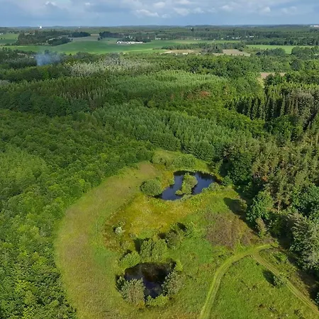 Сasa de vacaciones Architect-designed Retreat In Private Woods